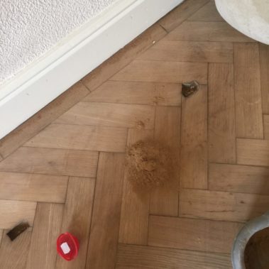 Parquet Restoration Wetherby