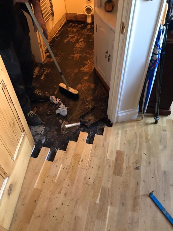 Oak Strip Restoration Hemingbrough