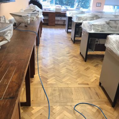 Teak Parquet Floor Sanded - Hardy Lab